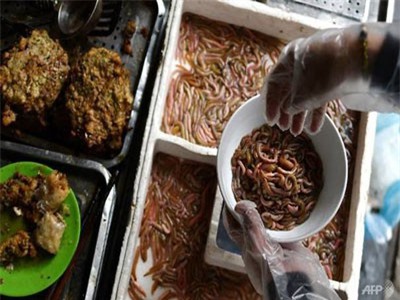 B&#xE1;o Ph&#xE1;p khen ng&#x1EE3;i m&#xF3;n ch&#x1EA3; r&#x1B0;&#x1A1;i n&#x1EE9;c ti&#x1EBF;ng c&#x1EE7;a Vi&#x1EC7;t Nam, th&#x1B0;&#x1EDF;ng th&#x1EE9;c gi&#x1EEF;a tr&#x1EDD;i &#x111;&#xF4;ng H&#xE0; N&#x1ED9;i