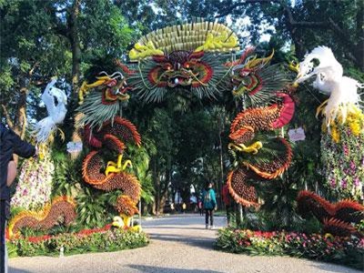 Mãn nhãn tác phẩm hình rồng 'khổng lồ' được tạo từ 1,2 tấn hoa quả ở Hà Nội