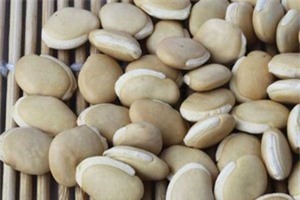 Công dụng tuyệt vời từ đậu ván trắng