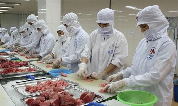 Xuất khẩu cá ngừ Việt Nam tăng mạnh tại thị trường Trung Đông