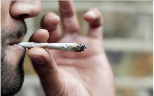 Hút cần sa có thể gây thay đổi di truyền trong tinh trùng