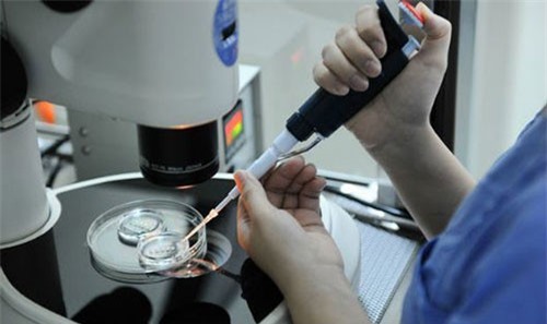 Rắc rối vì con giống hàng xóm, sau khi 'xin' từ ngân hàng tinh trùng