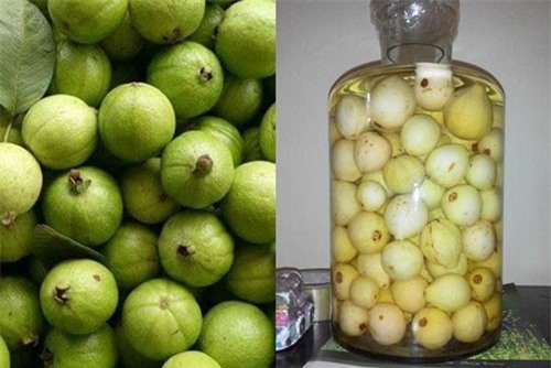 Clip: Cách ngâm rượu ổi làm ‘thần dược’ chữa bệnh 