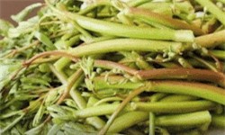 Clip: Bí quyết chữa dứt điểm bệnh mất ngủ kinh niên 