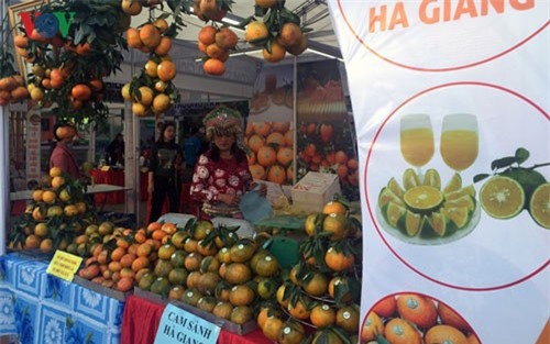 Thương mại sẽ chiếm 9,61% tổng GDP cả nước vào năm 2020