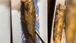 Clip: 'Tròn mắt' trước màn lọc xương cá trong 'tích tắc'