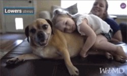 Clip: 5 bí quyết giúp bạn sống khỏe mạnh hơn mỗi ngày