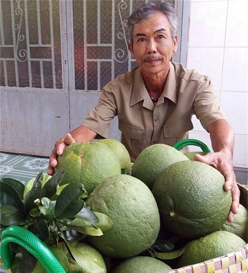 bi quyet trong buoi da xanh moi nam loi hon nua ty dong hinh anh 1