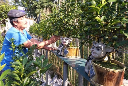 Chưa Tết đã “nóng” cây cảnh độc, lạ: "Săn" đỗ quyên, hồng đá cổ thụ