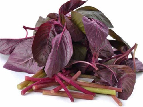 Những lợi ích sức khỏe của rau dền