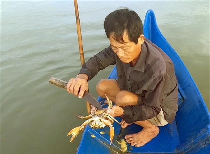 cua bien ngon nhat nuoc tang gia truoc tet, nong dan ho hoi hinh anh 3