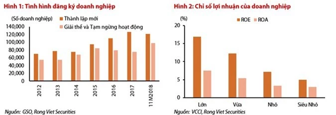 Hơn 121.000 doanh nghiệp “khai sinh”, 80% “chết yểu” - Ảnh 2.