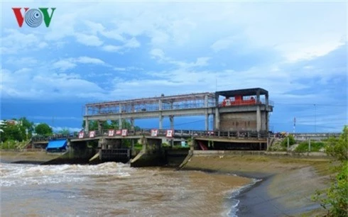 nganh tom ca mau: nuoi sieu tham canh, dot pha ve san luong hinh 3