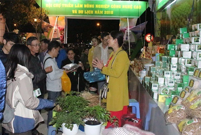 Giới thiệu các loại dược liệu và sản phẩm từ cây dược liệu của Lâm Đồng