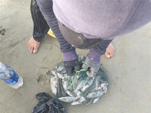 Ngón nghề cực độc: 10 phút kiếm "3 chai" của ngư dân Đà Nẵng