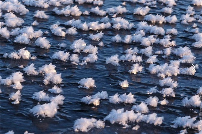 Hàng nghìn “hoa băng” hiếm gặp xuất hiện trên hồ nước ngọt - Ảnh 1.