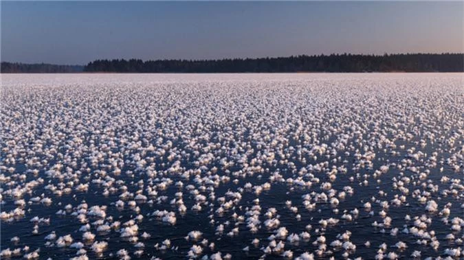 Hàng nghìn “hoa băng” hiếm gặp xuất hiện trên hồ nước ngọt - Ảnh 2.