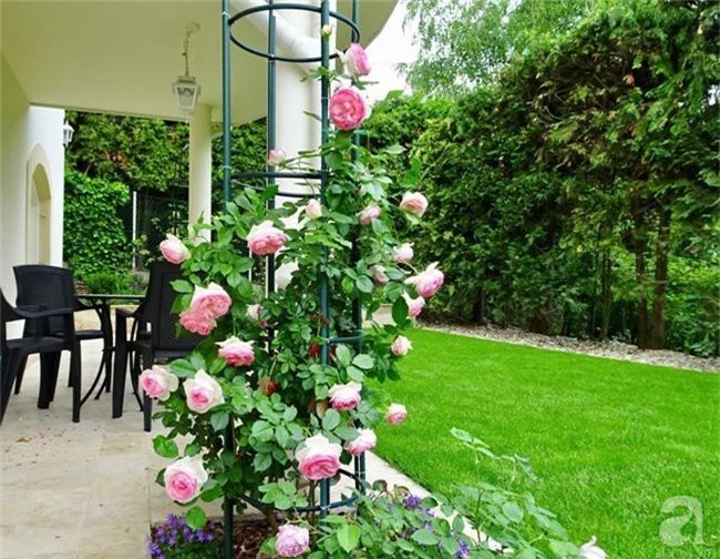 Ngôi nhà với khu vườn 600m² phủ kín các loại hoa đẹp như tranh vẽ của nữ giám đốc Việt ở Hungary - Ảnh 9.