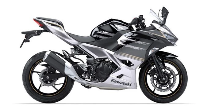 kawasaki-ninja-250-2019-13.jpg