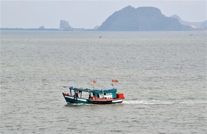 kien giang: lang bien doi doi nho nuoi loai 