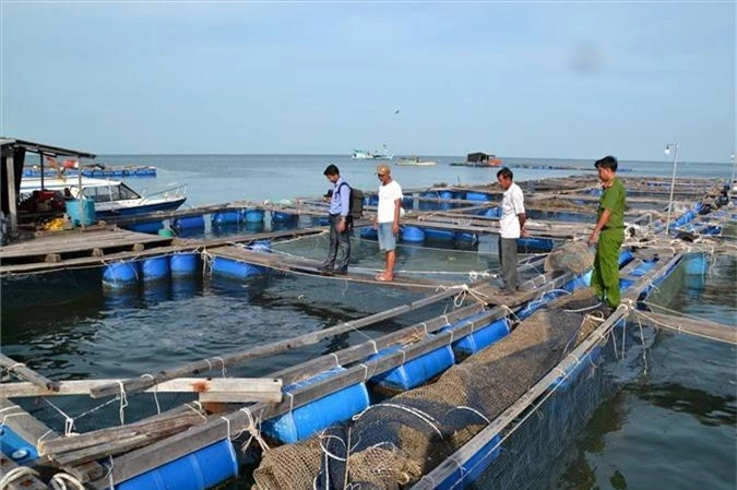 kien giang: lang bien doi doi nho nuoi loai 