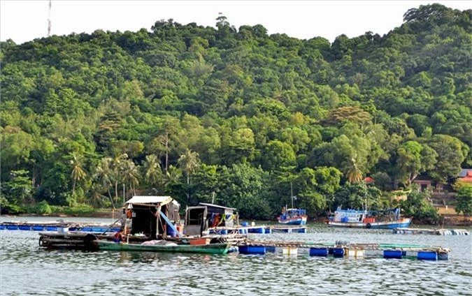 kien giang: lang bien doi doi nho nuoi loai 