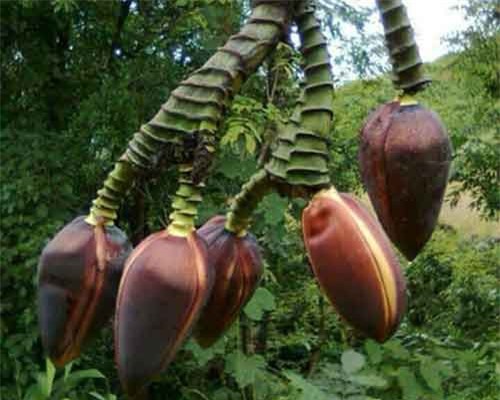 Những câu chuyện lạ độc gây choáng nhất 2018 ở Việt Nam