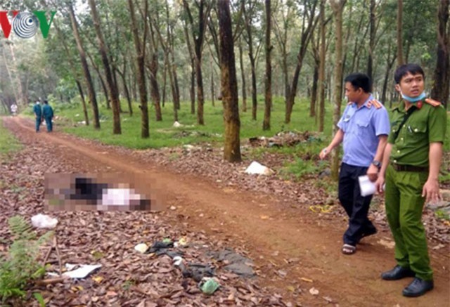 Người đàn ông tật nguyền bán vé số chết bất thường trong lô cao su