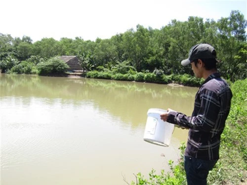 nuoi loai ca dac san mieng rong, moi nam lai 1 ty dong hinh anh 3