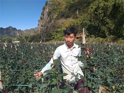 Bỏ thủ đô lên núi trồng hoa hồng, trai trẻ 9x thu tiền đều tay