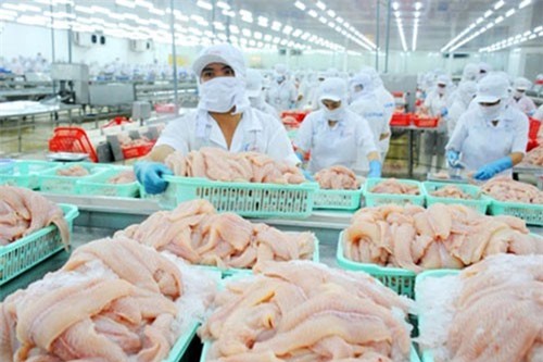 Xuất khẩu cá tra tăng mạnh tại thị trường ASEAN