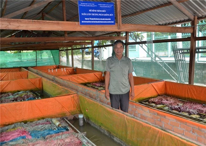 an giang: nuoi luon khong bun day dac, ban 170.000 dong/ky hinh anh 1