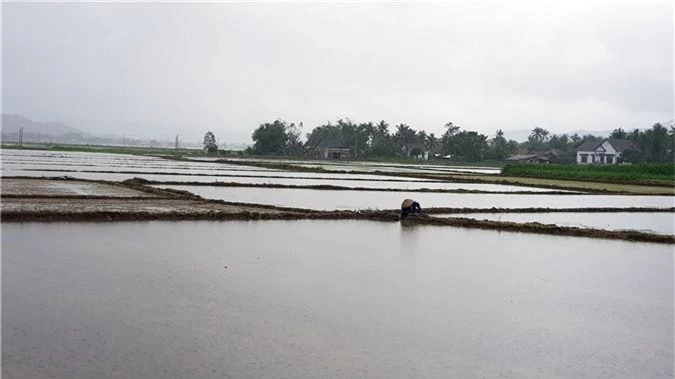 Mưa lũ tại nhiều tỉnh miền Trung, người dân đón Tết dương lịch trong nước lụt - Ảnh 8.