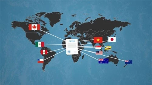 Hiệp định CPTPP giúp môi trường kinh doanh được cải thiện. Ảnh: Hoàng Hiệp. Hiệp định CPTPP giúp môi trường kinh doanh được cải thiện. Ảnh: Hoàng Hiệp.