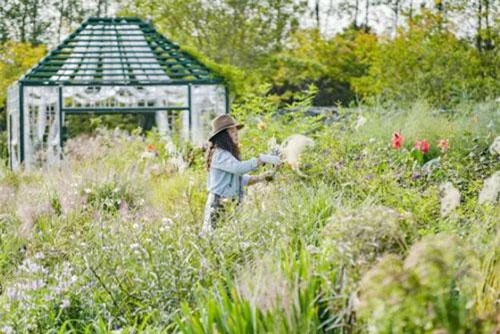 Vợ chồng giám đốc bỏ phố về quê làm nông dân, xây khu vườn tuyệt đẹp