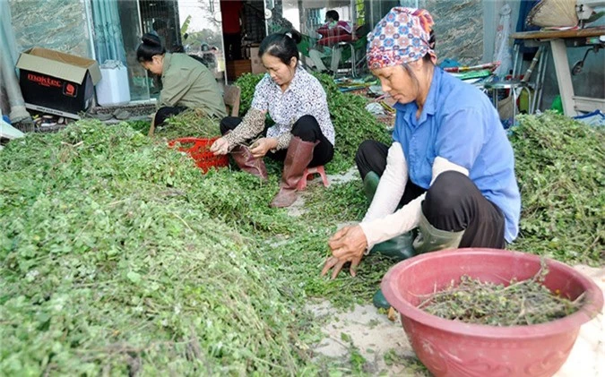 lam giau khac nguoi: ky su 8x trong 