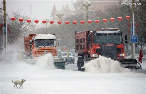 Trung Quốc ban bố cảnh báo vàng về bão tuyết