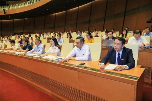 Luật Tố cáo (sửa đổi) được Quốc hội thông qua ngày 12/6/2018. Ảnh: Quân Minh. Luật Tố cáo (sửa đổi) được Quốc hội thông qua ngày 12/6/2018. Ảnh: Quân Minh.