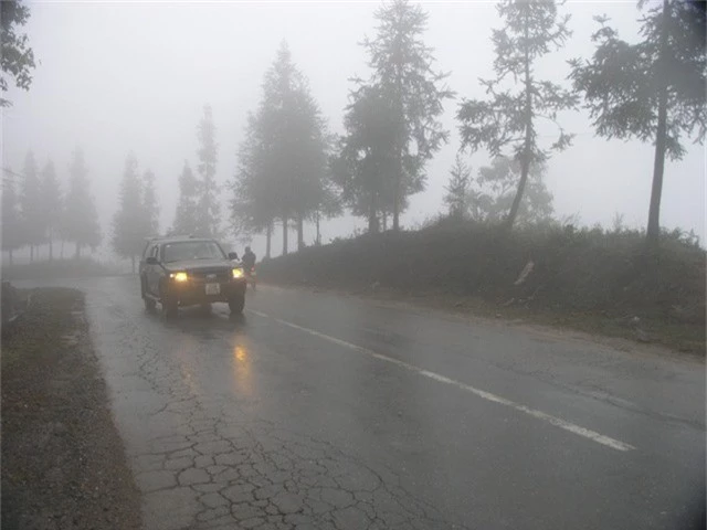 
Đường lên Sa Pa mây mù dầy đặc nên xe ô tô phải dùng đèn vàng
