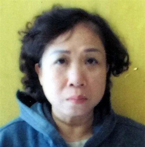 Hà Nội: Nữ giám đốc lừa bán công ty cho nhiều người, chiếm đoạt tiền tỷ