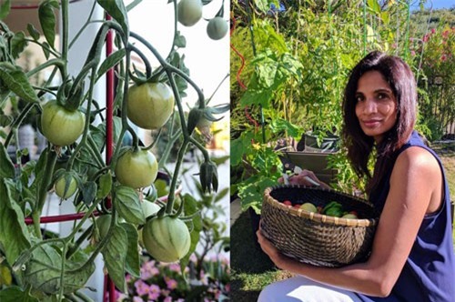 Bà mẹ hai con thoát khỏi bệnh tật nhờ sở thích làm vườn