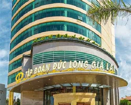 Kết quả doanh thu và lợi nhuận của DLG trong những năm gần đây. Kết quả doanh thu và lợi nhuận của DLG trong những năm gần đây.