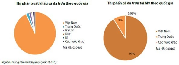 Năm 2019 rủi ro nào đang chờ doanh nghiệp xuất khẩu cá tra?  - Ảnh 1.