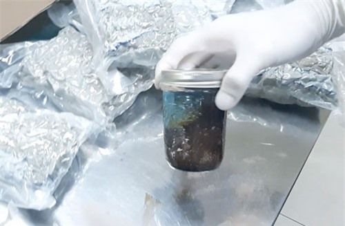 TPHCM: Bắt giữ vụ vận chuyển tinh chất ma túy dạng bột dẻo qua đường hàng không