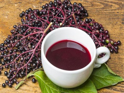 Quả cơm cháy đem lại nhiều lợi ích sức khỏe nhưng nhiều người lại không hay biết