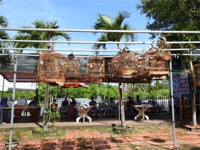 Hàng trăm lồng chim quý treo lủng lẳng hót líu lo giữa TP Cần Thơ