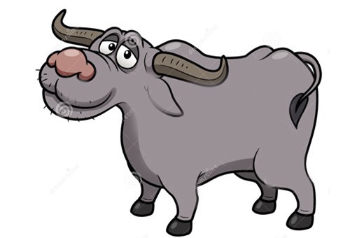 Năm mới vận may mới, 3 con giáp này trong năm 2019 tình tiền có đủ, không nghèo đói không cô đơn, cả năm may mắn bất ngờ