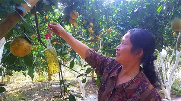 chong choi ung thu, co giao van lac quan voi trang trai 