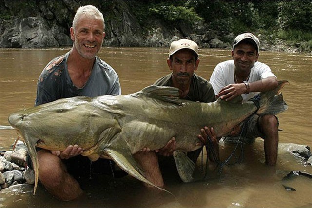 Tóm gọn ‘thủy quái’ ăn thịt người ở Ấn Độ