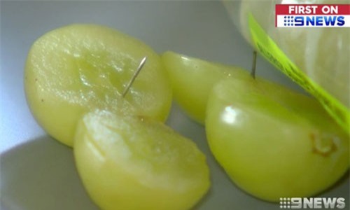 Australia phát hiện kim nhọn xuất hiện trong nho